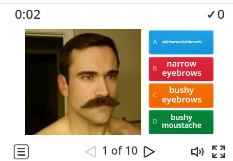 Image of 
<span>C1/C2: Describing Facial Hair (quiz)</span>
