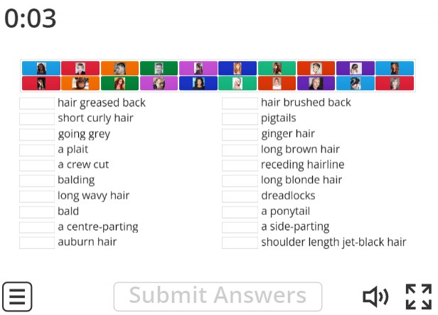 Image of 
<span>B1/B2: Describing Hair</span>
