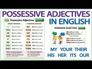 Embedded thumbnail for Possessive Adjectives in English