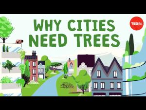 Embedded thumbnail for What happens if you cut down all of a city&#039;s trees? 